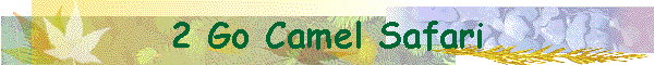 2 Go Camel Safari