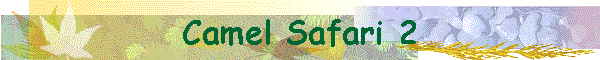 Camel Safari 2