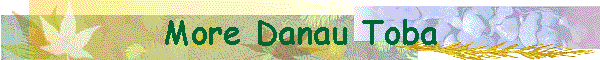More Danau Toba