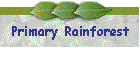 Primary Rainforest