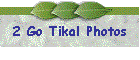 2 Go Tikal Photos