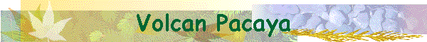 Volcan Pacaya