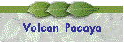 Volcan Pacaya