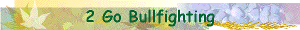 2 Go Bullfighting