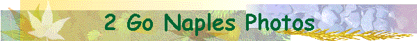 2 Go Naples Photos