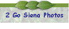 2 Go Siena Photos