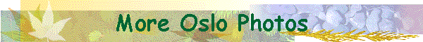 More Oslo Photos