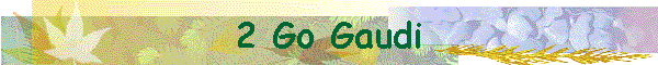 2 Go Gaudi