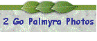 2 Go Palmyra Photos