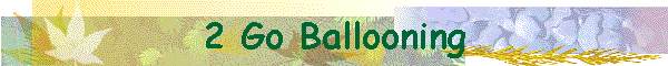 2 Go Ballooning