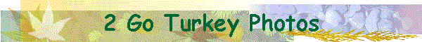 2 Go Turkey Photos