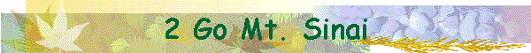 2 Go Mt. Sinai