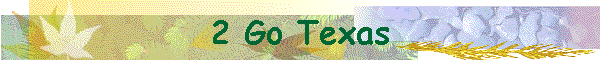 2 Go Texas