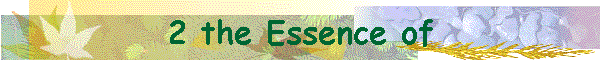 2 the Essence of