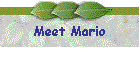 Meet Mario