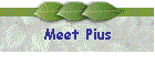 Meet Pius