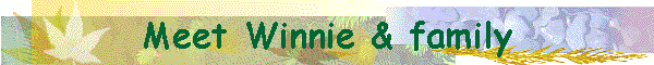 Meet Winnie & family