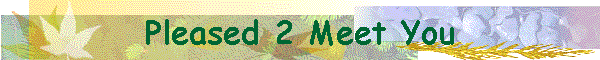 Pleased 2 Meet You
