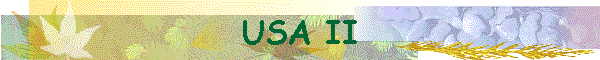 USA II