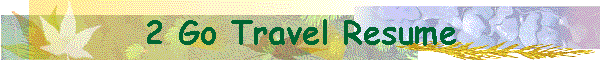 2 Go Travel Resume